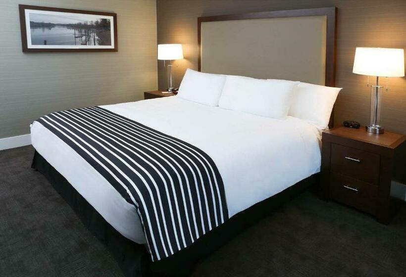 غرفة قياسية سرير كينج, Sandman Hotel Abbotsford Airport