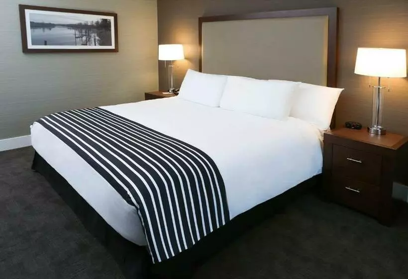 キングサイズベッドのスタンダードルーム, Sandman Hotel Abbotsford Airport