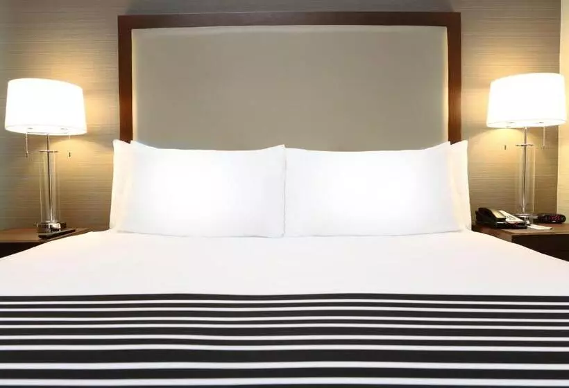 キングサイズベッドのスイートルーム, Sandman Hotel Abbotsford Airport