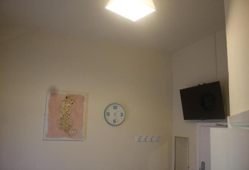 חדר אקונומי, Elm Tree Guest House