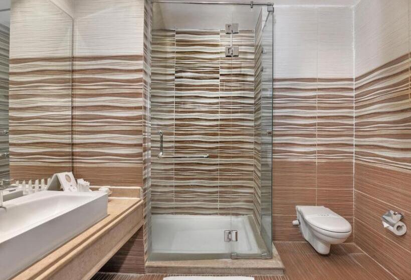 اتاق استاندارد با چشم‌انداز استخر, Tolip Family Park