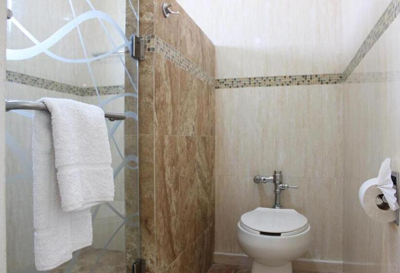 חדר סטנדרט, Flamingo Irapuato