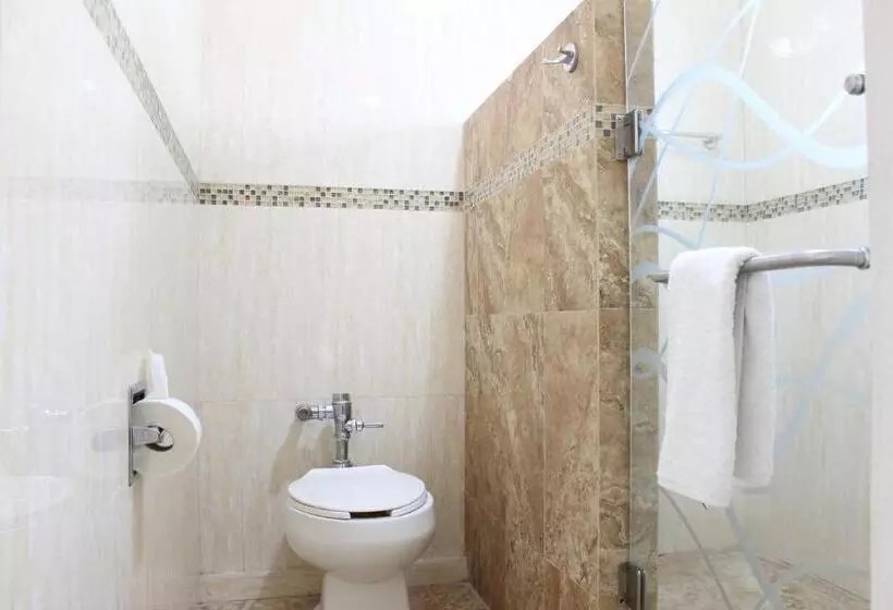 スタンダード5人部屋, Flamingo Irapuato