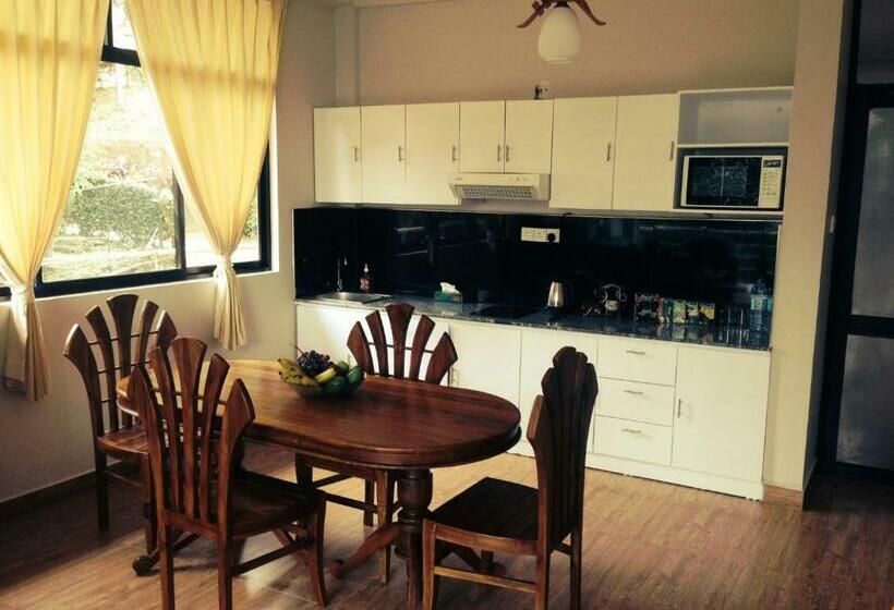 إستوديو قياسى, Kandy View