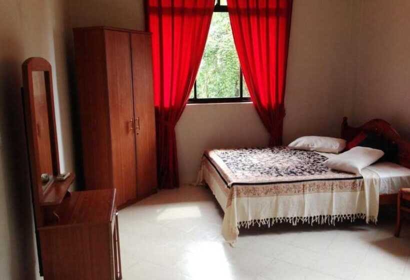 Camera Standard, Kandy View
