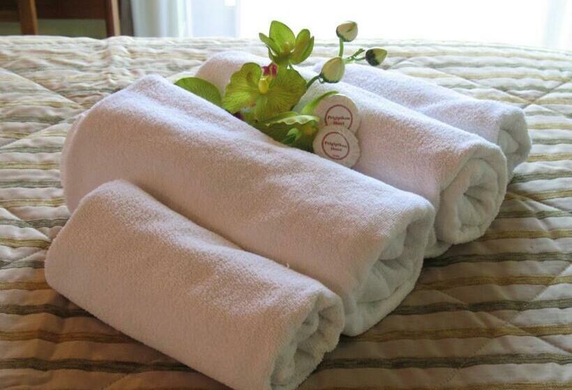 スタンダードルーム, Prigipikon Suites And Sofites