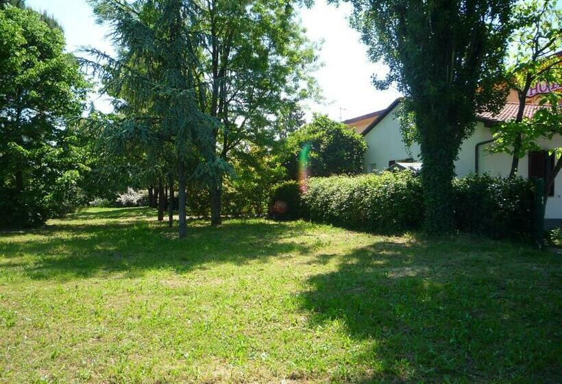 스탠다드 룸, Smart Hotel Autodromo