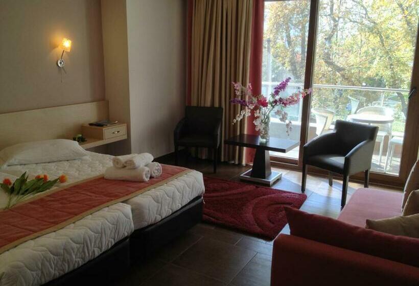 غرفة قياسية, Ifigenia