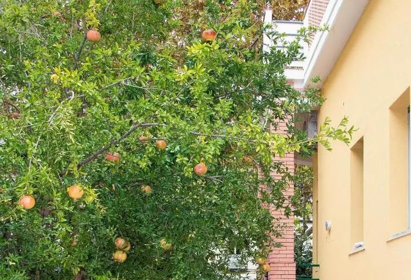 اتاق استاندارد با بالکن, Villa Anna B&b