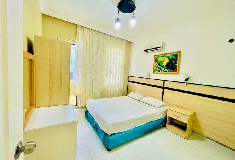 스탠다드 룸, Grand Lavi̇n