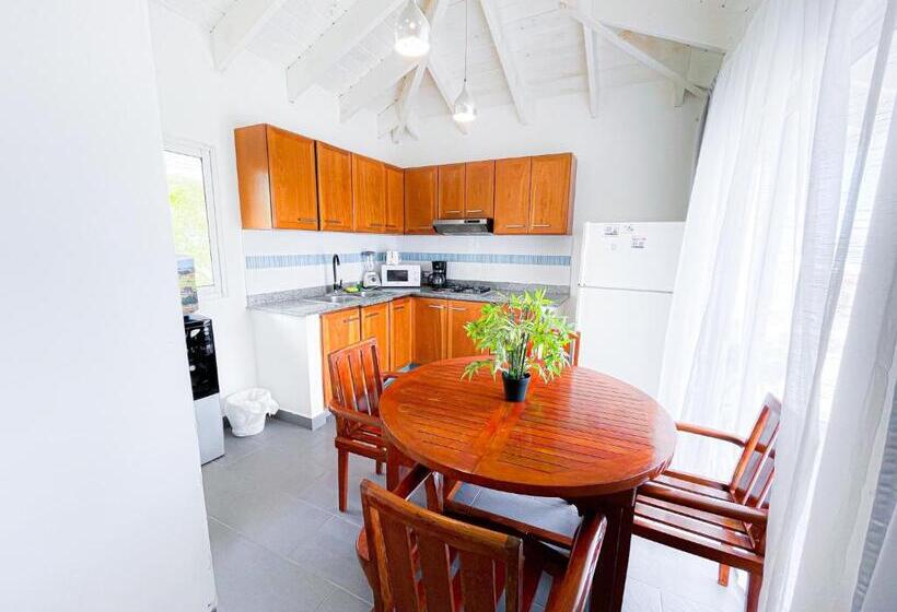 ویلای 1 خوابه با چشمانداز دریا, Oceanfront & Garden View Villas Hotel Wifi Bbq Parking Los Corales Beach Club & Spa