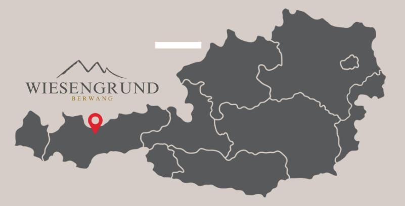 Апартаменты 1 Спальня с Видом, Aparthotels Berwang / Haus Wiesengrund