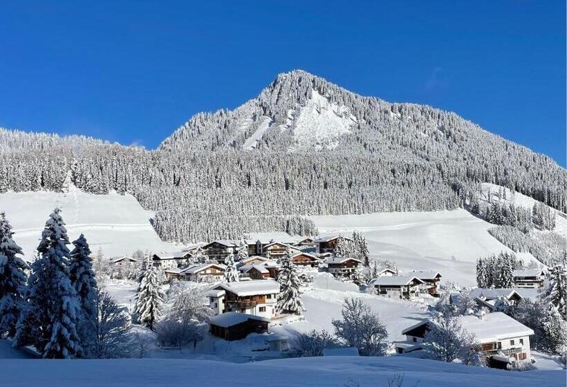 דירה בת חדר שינה 1 עם נוף, Aparthotels Berwang / Haus Wiesengrund