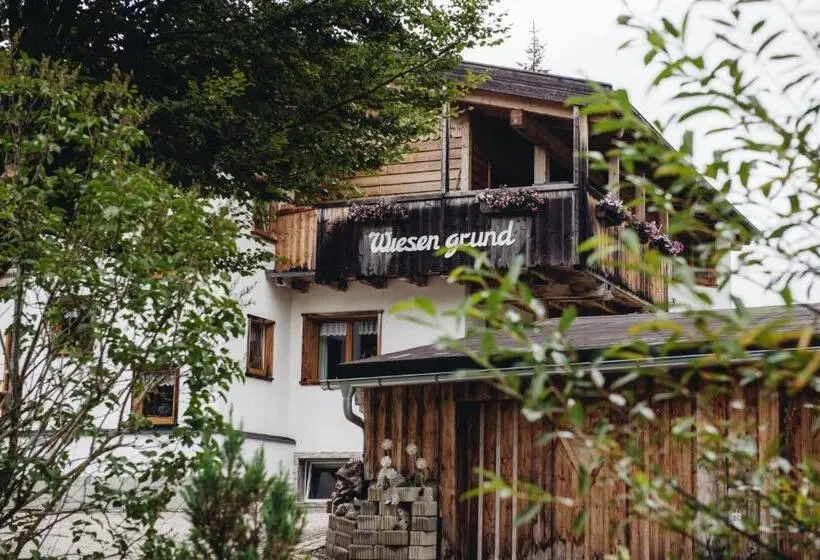 آپارتمان 1 خوابه با چشمانداز, Aparthotels Berwang / Haus Wiesengrund