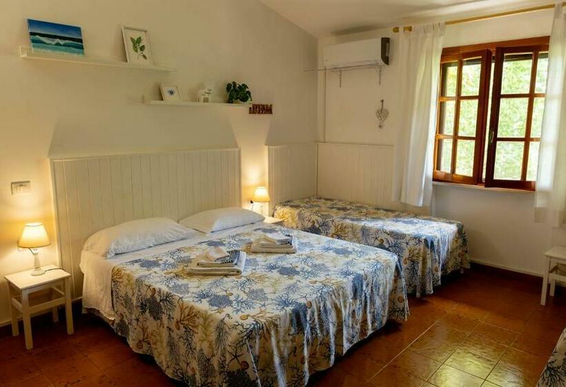 اتاق استاندارد, B&b Cavalieri