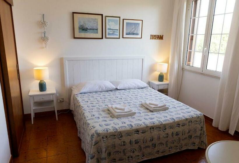 스탠다드 룸, B&b Cavalieri