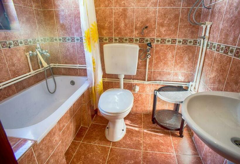 آپارتمان دوبلکس 1 خوابه, Guest House Jezera