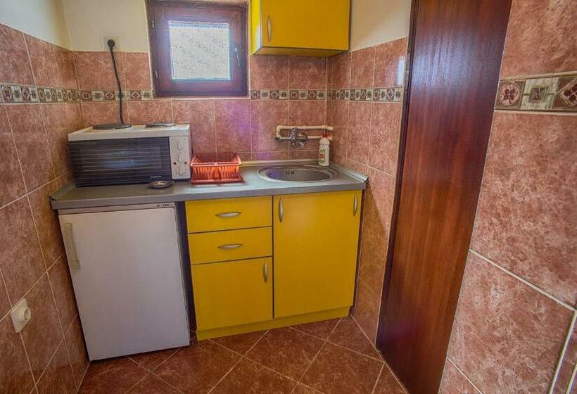 آپارتمان دوبلکس 1 خوابه, Guest House Jezera