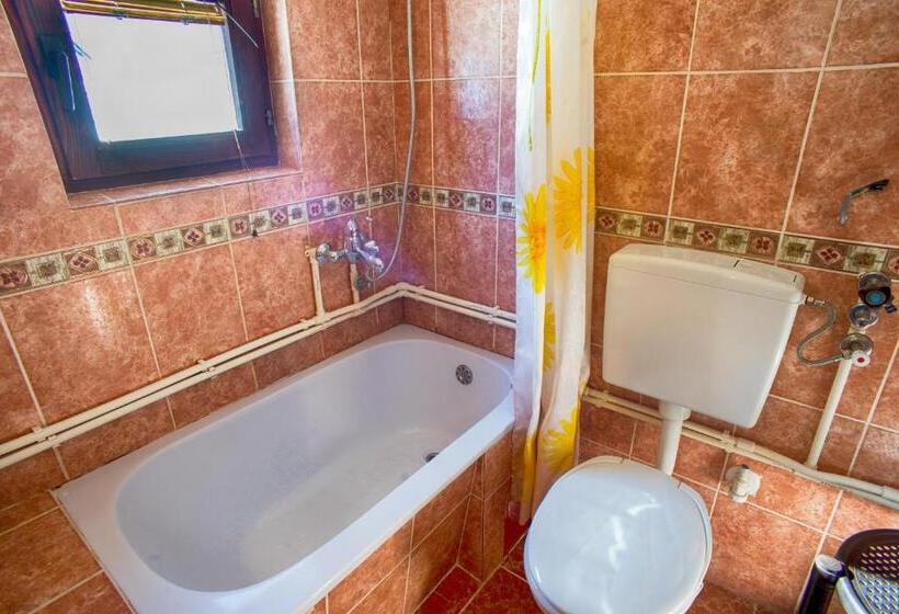 آپارتمان دوبلکس 1 خوابه, Guest House Jezera