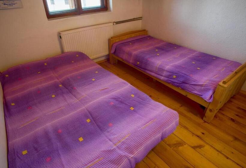 آپارتمان 1 خوابه همکف, Guest House Jezera