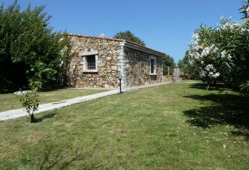 اتاق استاندارد چهار تخته, B&b Pettirosso Garden