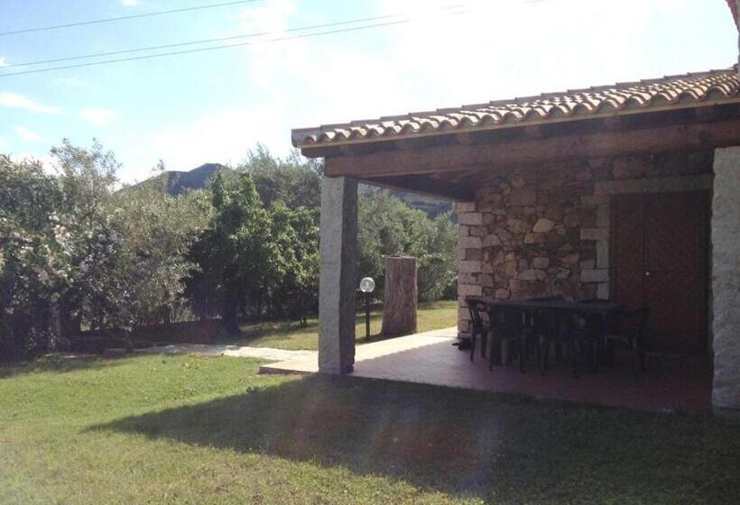 اتاق استاندارد چهار تخته, B&b Pettirosso Garden