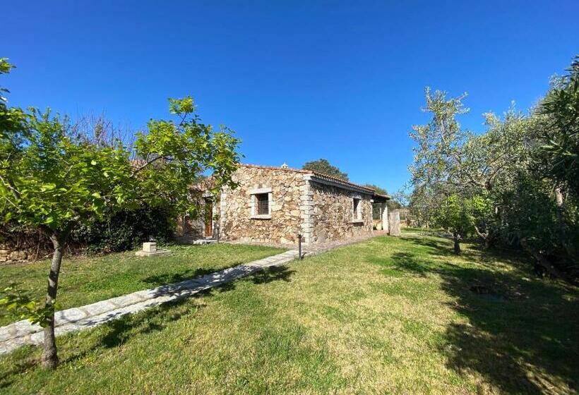 اتاق استاندارد با چشمانداز باغ, B&b Pettirosso Garden