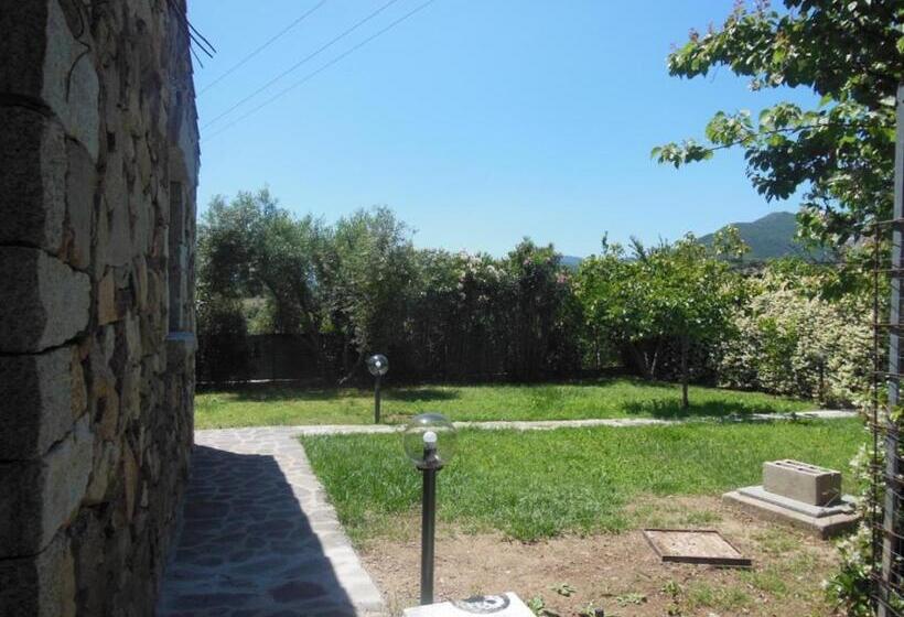 اتاق استاندارد با چشمانداز باغ, B&b Pettirosso Garden