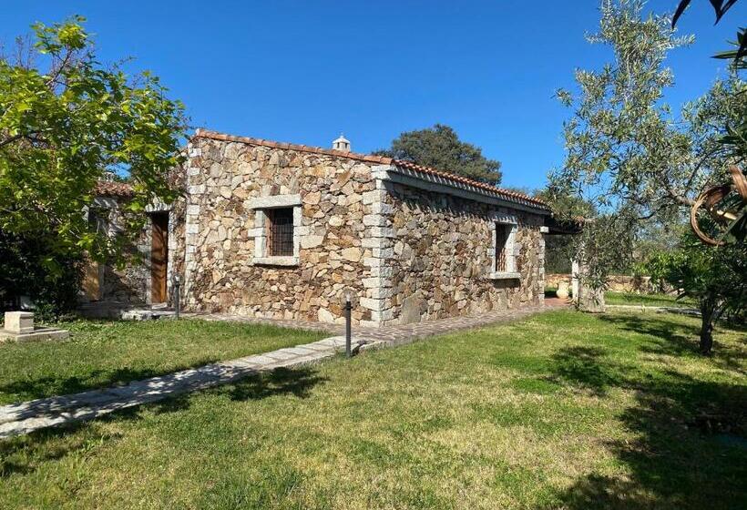 بانگلوی استاندارد, B&b Pettirosso Garden