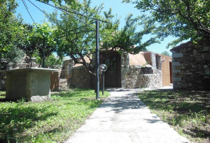 بانگلوی استاندارد, B&b Pettirosso Garden