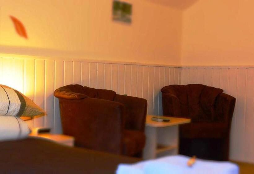 غرفة قياسية, Pension Arabela