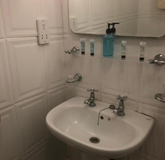 エコノミールーム, The Lion