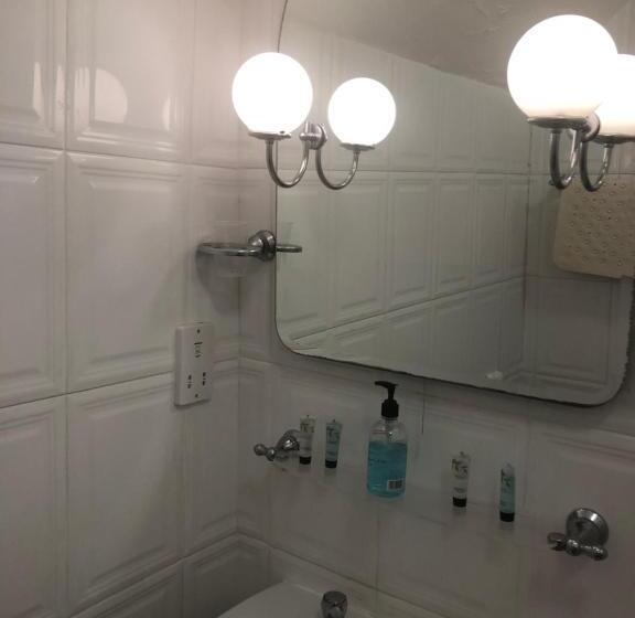 スーペリアシングルルーム, The Lion