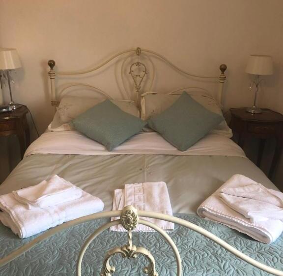 エコノミールーム, The Lion