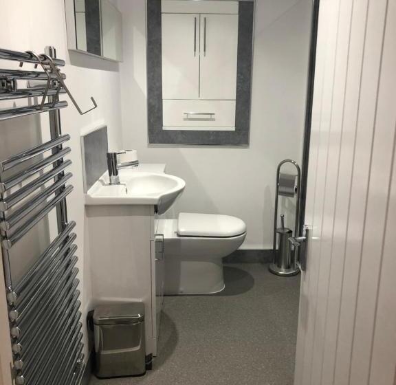 デラックススイート, The Lion