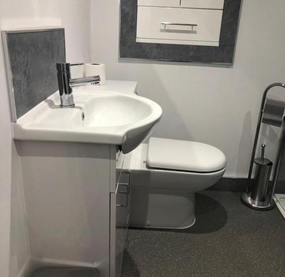 デラックススイート, The Lion