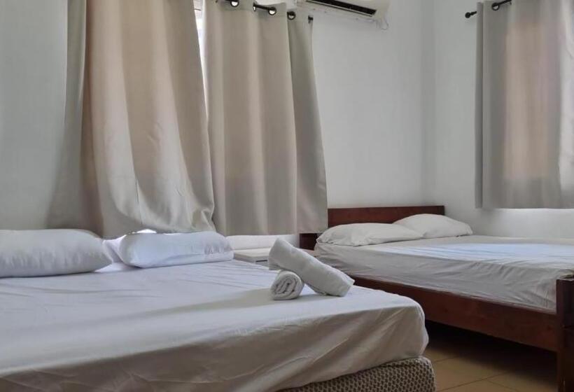 Семейное Студио, Loui Talpiot