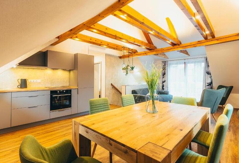 Apartament 1 Dormitori amb Terrassa, Penzion Tilia