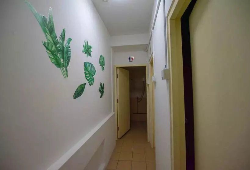 تختخواب در اتاق مشترک, Greendili Backpackers Hostel