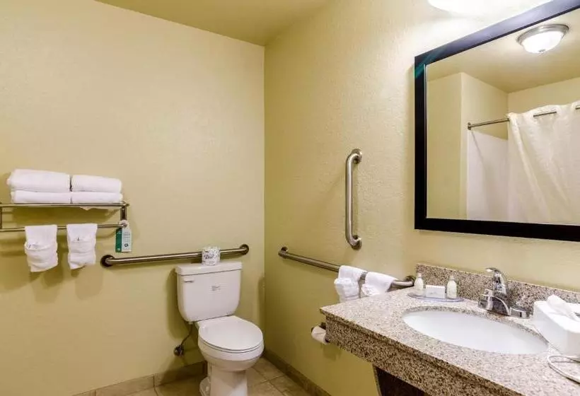 身障者適用スタンダードルーム, Cobblestone Inn & Suites  Kersey
