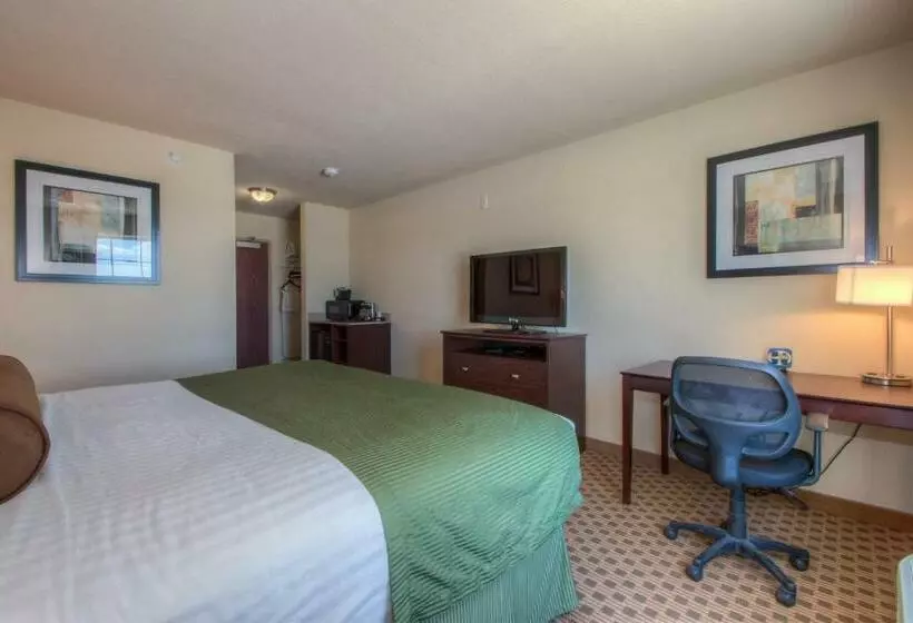 身障者適用キングサイズベッドルーム, Cobblestone Inn & Suites  Wray