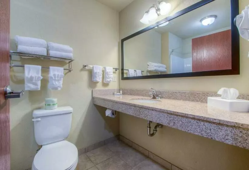 スタンダードルーム, Cobblestone Inn & Suites  Wray