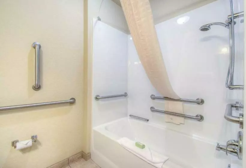 身障者適用キングサイズベッドルーム, Cobblestone Inn & Suites  Wray