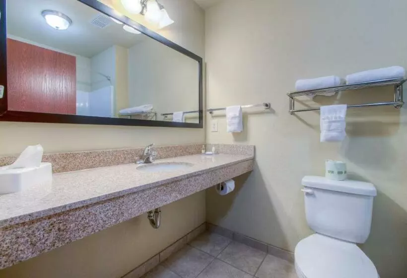 キングサイズベッドのスタンダードルーム, Cobblestone Inn & Suites  Wray