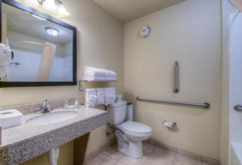 장애인을 위한 스탠다드 룸, Cobblestone Inn & Suites  Wray