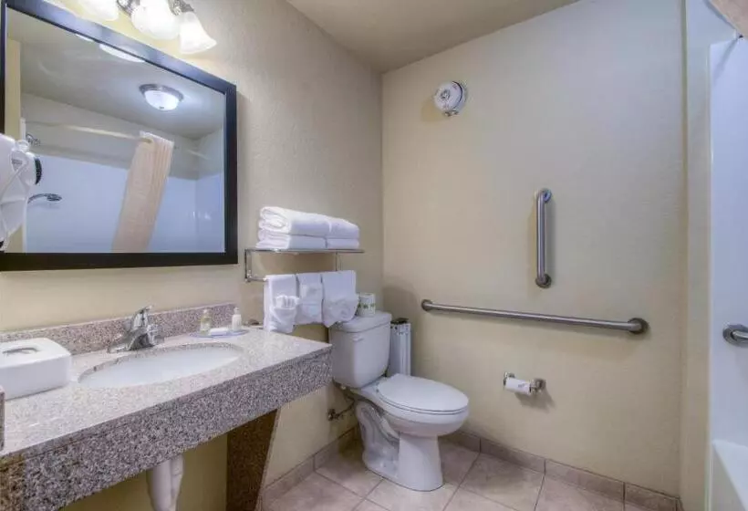 身障者適用スタンダードルーム, Cobblestone Inn & Suites  Wray