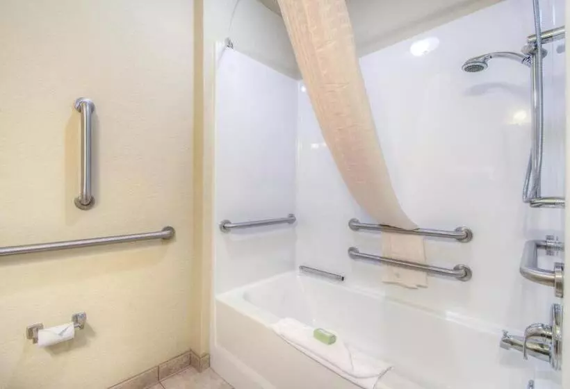 身障者適用スタンダードルーム, Cobblestone Inn & Suites  Wray