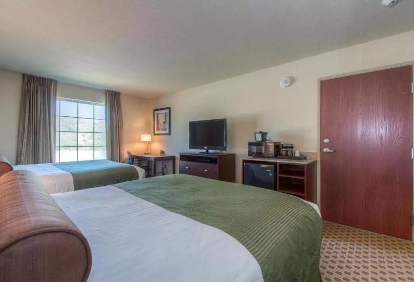 身障者適用スタンダードルーム, Cobblestone Inn & Suites  Wray