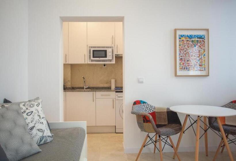 آپارتمان 1 خوابه اینتریور, Apartment In Malasaña