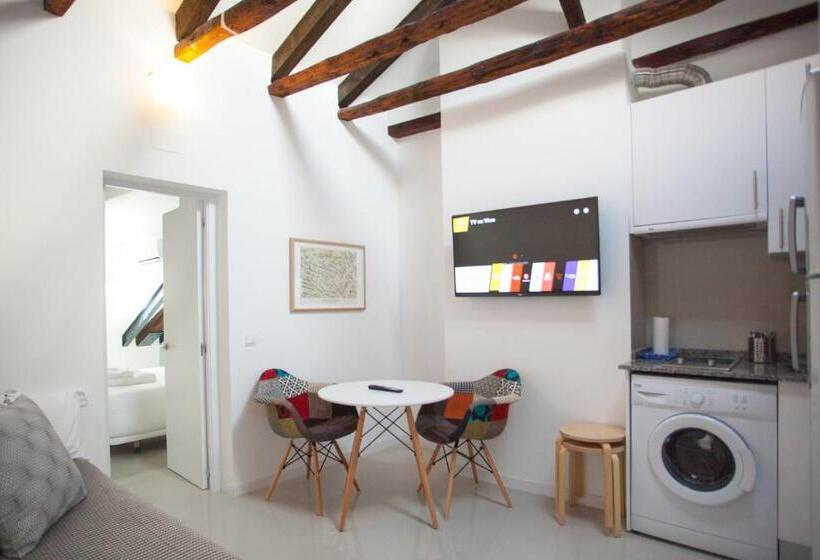اتاق استاندارد, Apartment In Malasaña